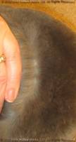 chez-moi-2020-01-09-17-58-58_wm.jpg