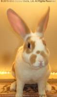 crunchie-2019-11-04-18-29-38_wm.jpg
