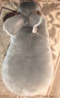 bbg6-2018-05-08-14-10-56_wm.jpg