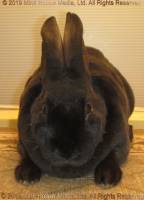 cinder-2019-11-02-18-10-376_wm.jpg