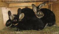 yhc-2016-09-19_18-50-16_wm.jpg