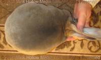 frootloop-2018-09-02-19-54-18_wm.jpg