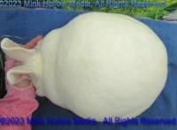 fiby-2023-05-18-14-50-34_wm.jpg