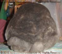 yic1-2016-12-30_18-31-06_wm.jpg