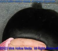 mat-2023-05-05-12-11-09_wm.jpg