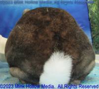 grizz-2023-07-17-11-56-16_wm.jpg