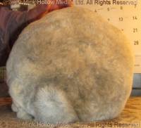 buddy-2019-03-17-16-08-29_wm.jpg