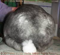 zinc-2017-05-25_17-52-13_wm.jpg