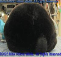 mat-2023-05-10-18-32-23_wm.jpg