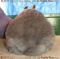 ajb6-2017-12-16-14-22-22_wm.jpg